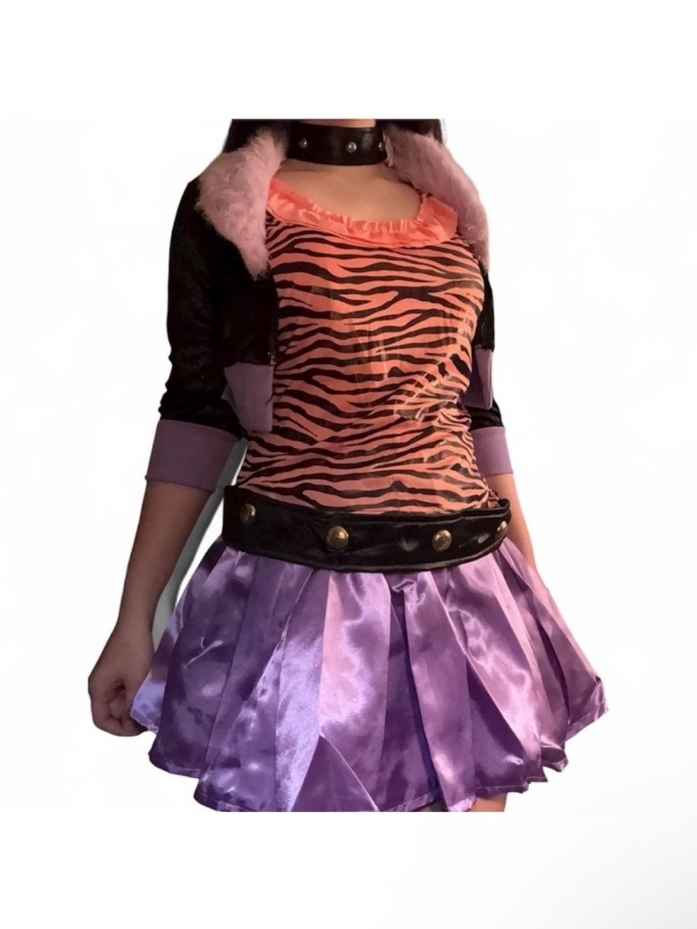 Monster High Clawdeen Wolf Costume